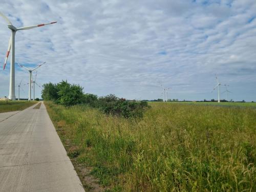 a road next to a field with wind turbines at Haus Kabelitz in Kabelitz