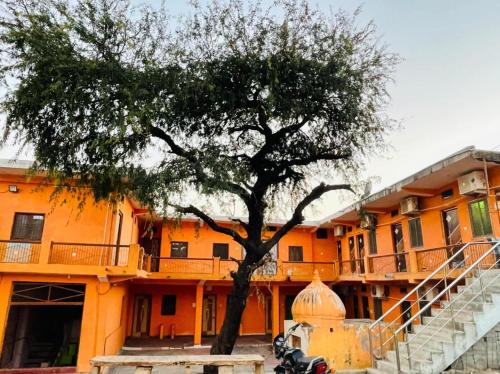 pomarańczowy budynek z drzewem przed nim w obiekcie Anand Dham Guest House By WB Inn w mieście Sītāpur Mūāfi