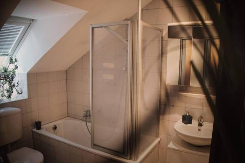 ein Bad mit einer Dusche und einem Waschbecken in der Unterkunft Tolle Wohnung in zentraler Lage in Neu-Ulm in Neu Ulm