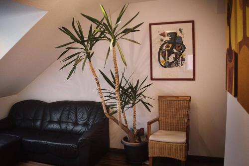 a living room with a black leather couch and a palm tree at Tolle Wohnung in zentraler Lage in Neu-Ulm in Neu Ulm
