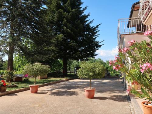 een straat met potplanten en bomen en een gebouw bij Apartment Mirjana-1 by Interhome in Ružići