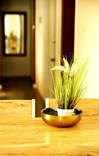 a plant in a bowl on a wooden table at שמילה אירוח 2 in Arad