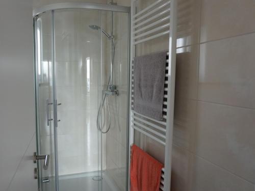 een douche in een badkamer met een glazen douchecabine bij Apart Schleswig **** in Schleswig