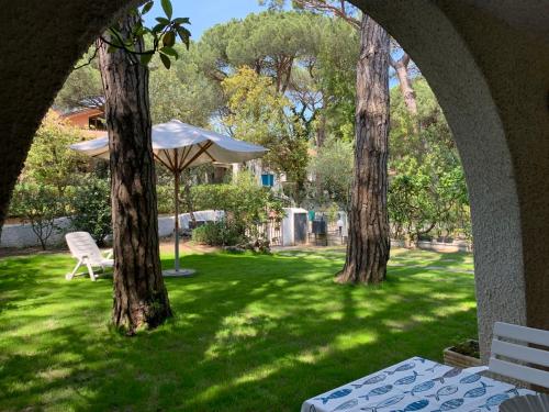 a green yard with trees and a table and an umbrella at Apartment Casa delle Palme by Interhome in Marina Romea