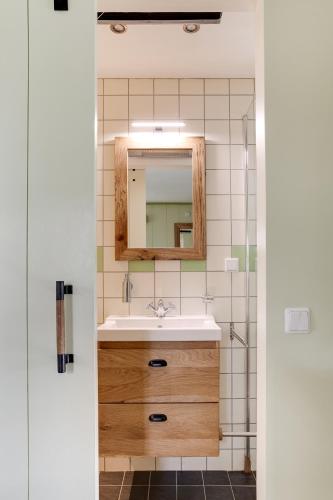 a bathroom with a sink and a mirror at Cottage 'Onder de boompjes' in Oostwoud