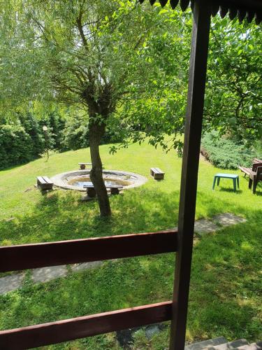 a view of a park with a tree in the grass at Domki letniskowe pod Brzozami Stella in Polańczyk