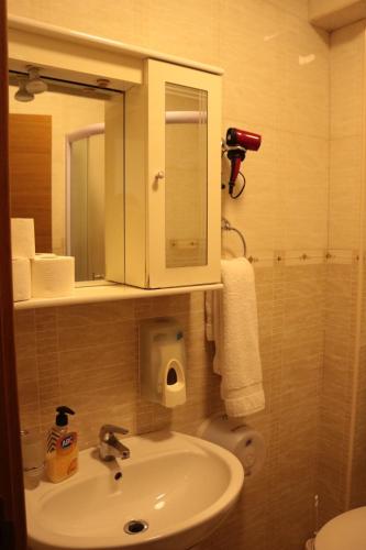a bathroom with a sink and a mirror and a toilet at Hotel Perjanik in Danilovgrad