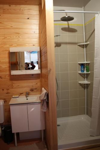 La salle de bains est pourvue d'un lavabo et d'une douche avec un miroir. dans l'établissement petit studio, bien équipé, à la campagne, à Marcoux