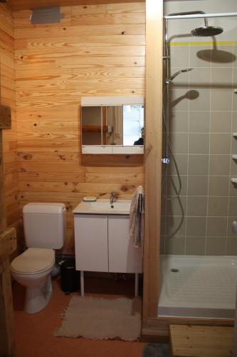 La salle de bains est pourvue de toilettes, d'un lavabo et d'une douche. dans l'établissement petit studio, bien équipé, à la campagne, à Marcoux