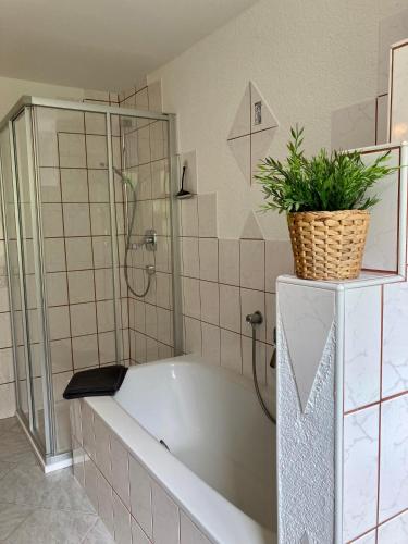 a bath tub with a plant on top of it at Heissgut in Altenmarkt im Pongau