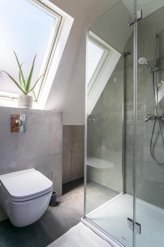 a bathroom with a shower and a toilet and a skylight at Bajkowa Osada Murzasichle domek z jacuzzi in Murzasichle
