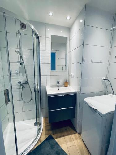 La salle de bains est pourvue d'une douche et d'un lavabo. dans l'établissement Gdynia Centrum, à Gdynia