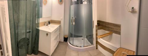 La petite salle de bains est pourvue d'une douche et d'un lavabo. dans l'établissement Bayonne Appartement terrasse 4 km plage, à Bayonne
