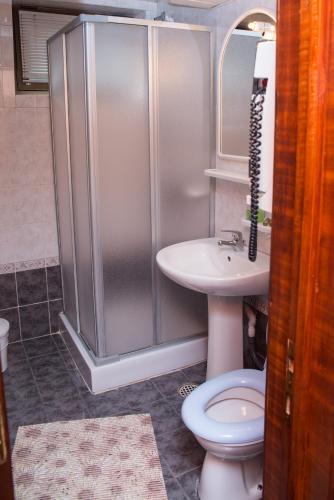 un bagno con doccia, WC e lavandino di Vila Pellegrin a Durau