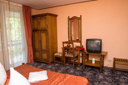1 dormitorio con 1 cama, TV y espejo en Vila Pellegrin, en Durau