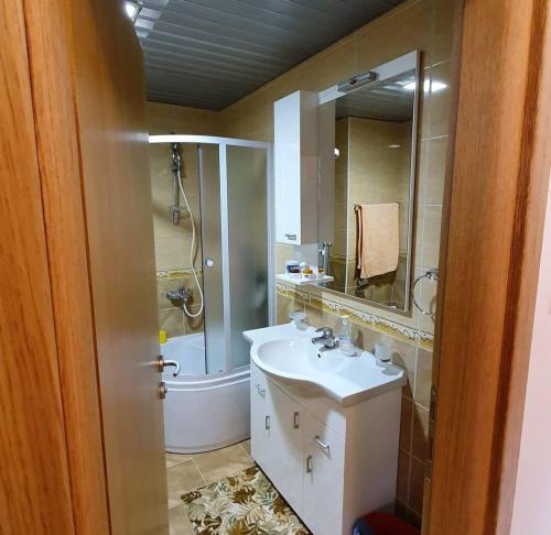 a bathroom with a sink and a shower and a mirror at Apartman Nadja in Budva