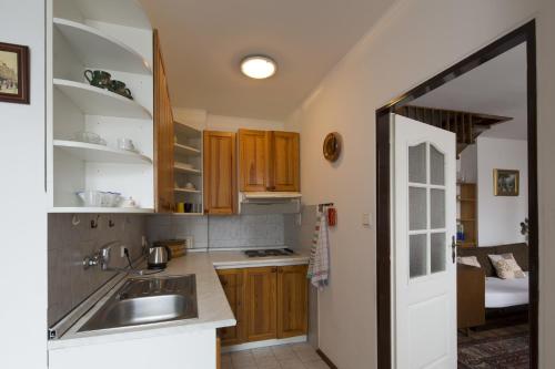 a kitchen with wooden cabinets and a sink at Apartmány u Koček in Tábor