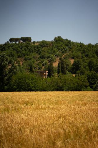 Il Fornello Coliving – Photos 3