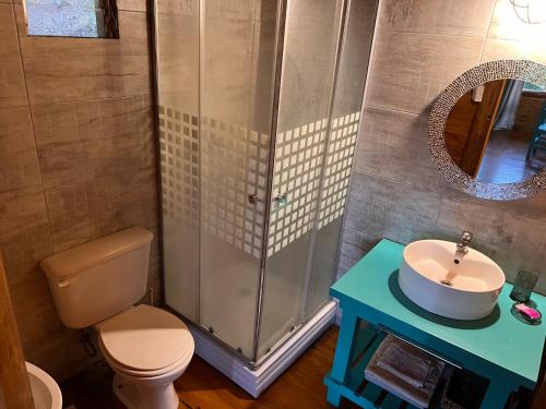 a bathroom with a shower and a toilet and a sink at Brisas del Paraná, casas de campo, Cafe, Spa & Río in San Pedro