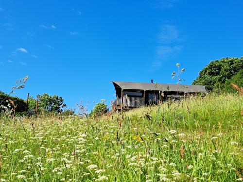 un viejo edificio sentado en la cima de un campo de hierba en Brackenhill Glamping - Safari Tent with Hot Tub en Ivybridge