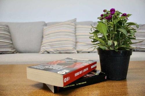 a book on a table next to a potted plant at Casa del Tempo Rosa Tassullo OSPITAR in Tassullo