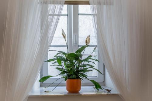 Charming Apartment Tanja