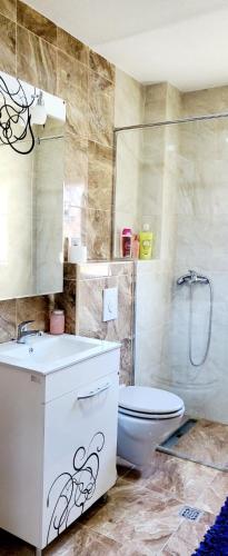 y baño con aseo, lavabo y ducha. en Bobiska Djenovici en Ðenovići