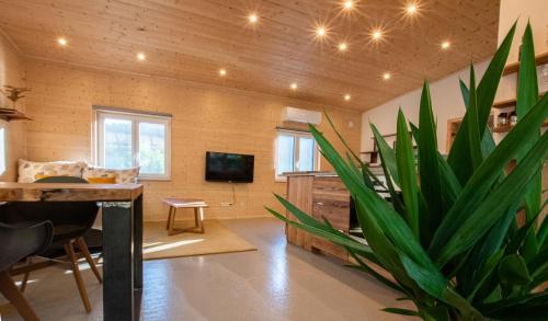 a living room with a potted plant in the middle at Silbersberg Cottage in Gloggnitz