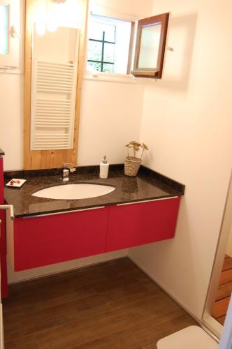 une salle de bain avec un lavabo et un miroir dans l'établissement Holiday home De la Corniche, à Annecy