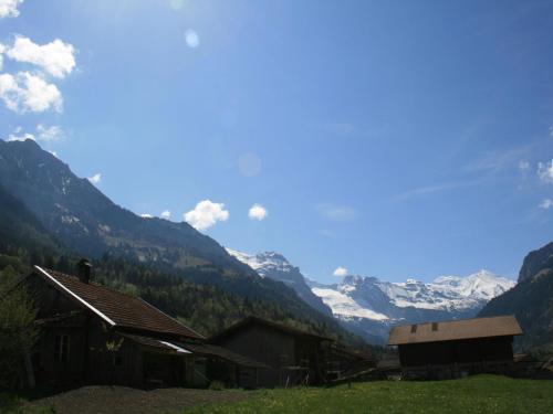 a view of a valley with mountains in the background at Apartment Chalet Bifigen by Interhome in Kandergrund