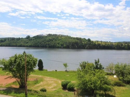 a view of a large lake with trees in the background at Apartment Županovice-3 by Interhome in Dobříš