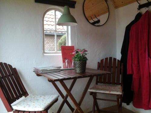 a table with two chairs and a plant on it at B&B De Luttikhoeve in Giethmen