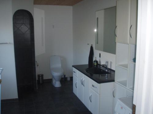 uma casa de banho com um lavatório e um WC em Tødsø Bed & Bath Holiday Home em Nykobing Mors