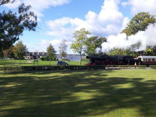 a steam train is traveling through a park at Bootshaus Neustrelitz in Neustrelitz