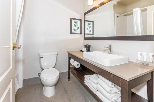 a white bathroom with a sink and a toilet at Country Inn & Suites by Radisson, Smyrna, GA in Atlanta