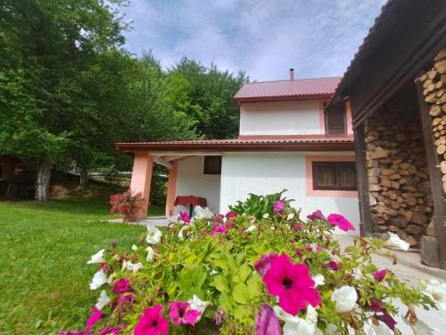 Holiday House Trnovac