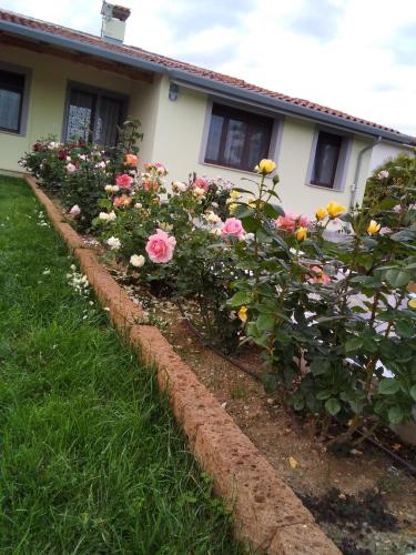 Zahrada ubytování B&B Fili d'erba