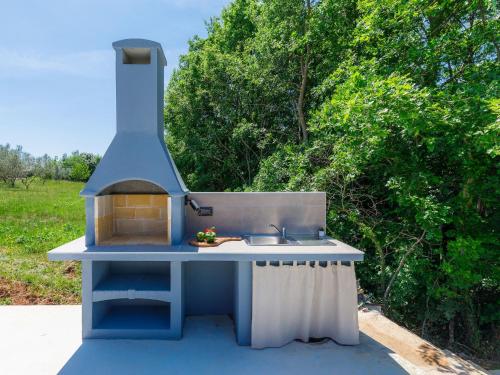 a outdoor kitchen with a stove and a sink at Apartment Eroa by Interhome in Žminj