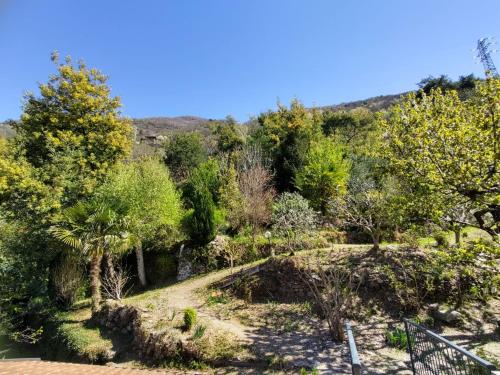 a garden with trees and a hill in the background at Apartment Dado by Interhome in Bellano