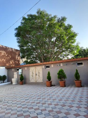 a garage with potted plants and a tree at Hotel LU-MA in Tbilisi City