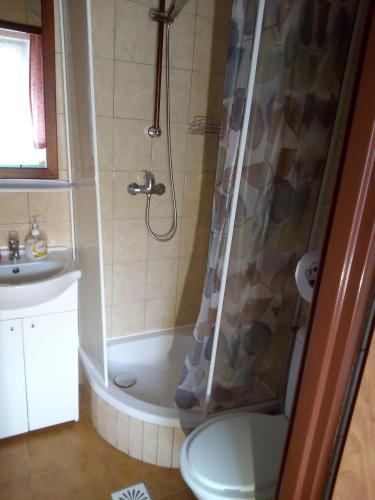 a bathroom with a shower and a toilet and a sink at ANIA in Kamienna Góra