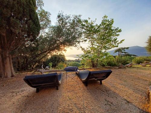 two chairs sitting on a dirt road with trees at U Castellu, l' hôtel particulier in Propriano