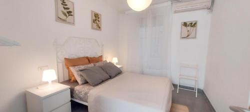 Apartamento MURILLO-PLAZA DE LA MAGDALENA