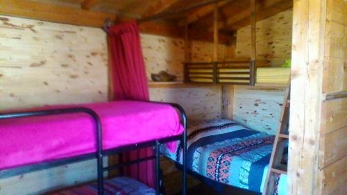 Zimmer mit 2 Etagenbetten in einer Hütte in der Unterkunft RANCH DU PUITS DE RIQUIER in Moissac-Bellevue