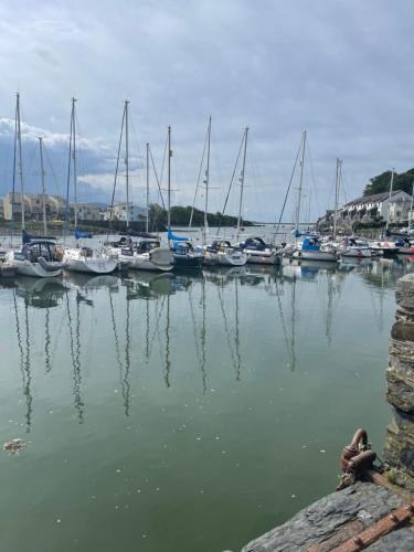 a group of boats are docked in a marina at apartment porthmadog harbour side fantastic views in Porthmadog