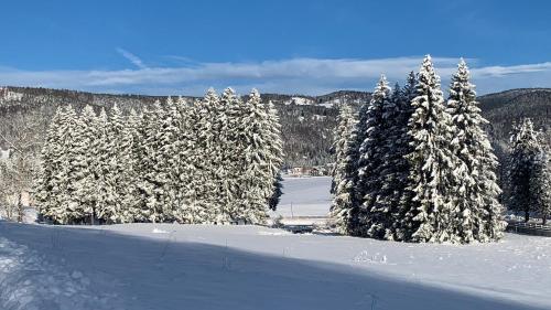 Casa Rigoni durante l'inverno
