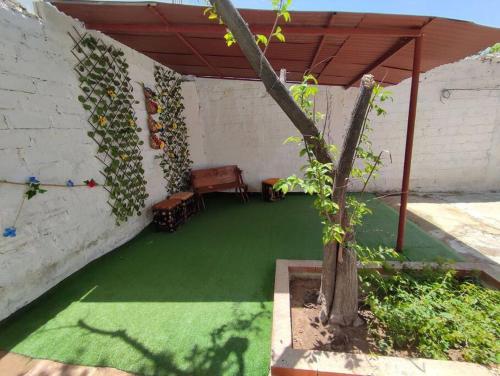 里奧阿查的住宿－Alojamiento entero, casa amplia, patio, aire，一间设有绿色地板和墙壁的客房