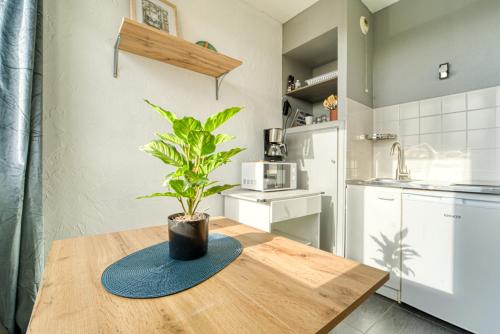 une plante en pot assise sur une table en bois dans une cuisine dans l'établissement Mon Rez-de-Chaussée Ville Parking Privé Un-Séjour-à-Part, à Metz