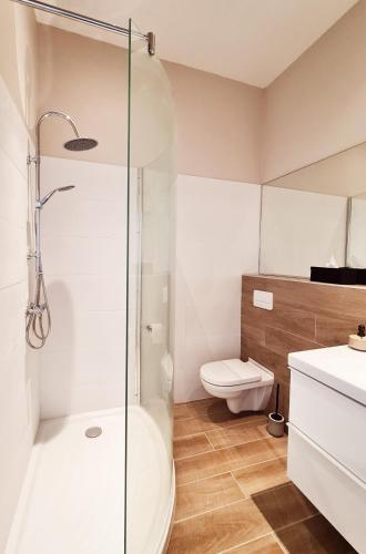 a bathroom with a shower and a toilet at Les gîtes de Rozélie in Gembloux