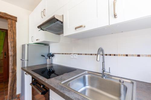 a kitchen with a sink and a refrigerator at Appartement Mont Colombier in Trévignin
